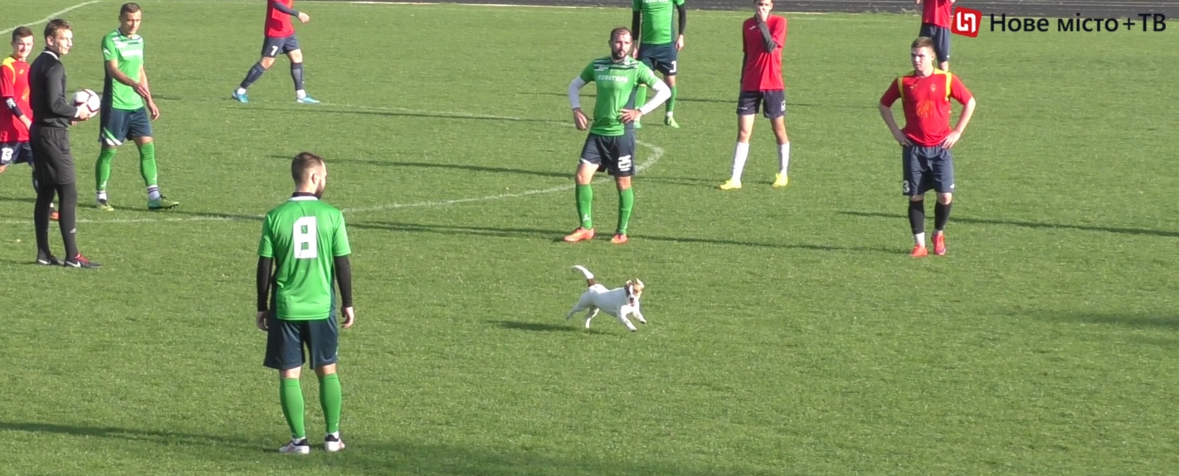 покровский «авангард» завершил футбольный год уверенной кубковой победой - изображение 3